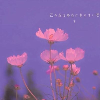 半岛棋牌游戏app下载